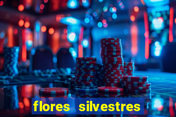 flores silvestres desbravadores desbravadores 25 flores silvestres e seus nomes